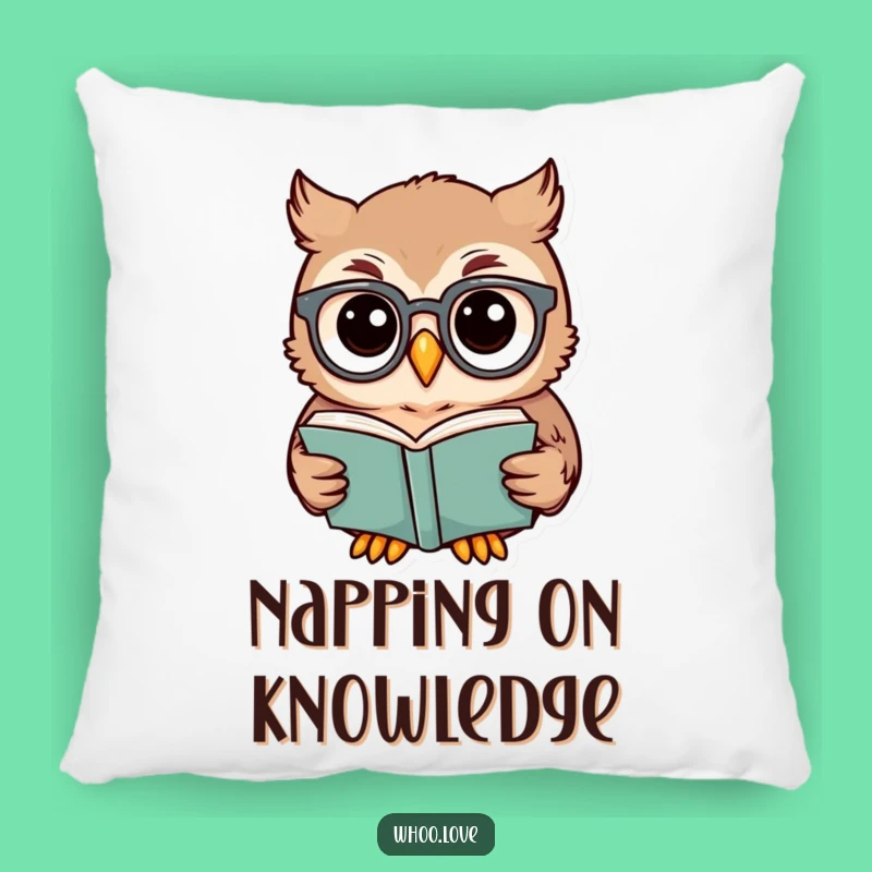 Funny Owl Scholar Pillow: Plush Comfort for Cozy Reading Nooks