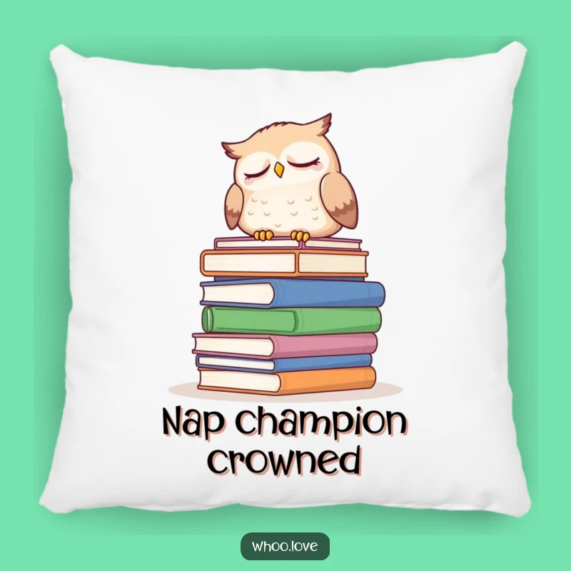 Funny Sleepy Owl Pillow: Add Cozy Comfort and Literary Charm to Your Space