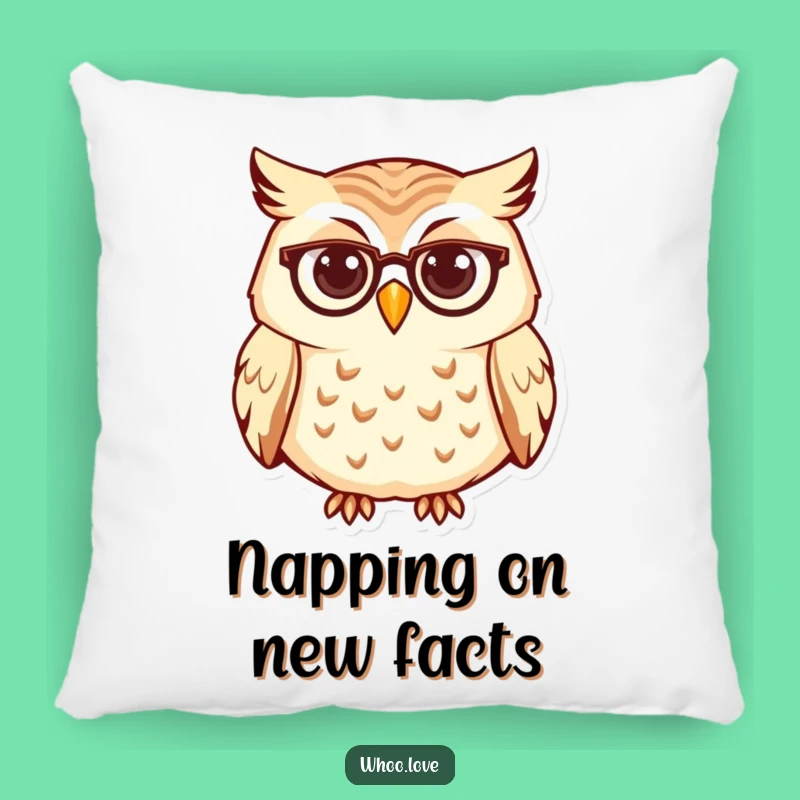 Funny Curious Owl Spectacles Pillow, Cozy Comfort with a Smart Look, Perfect Funny Gift