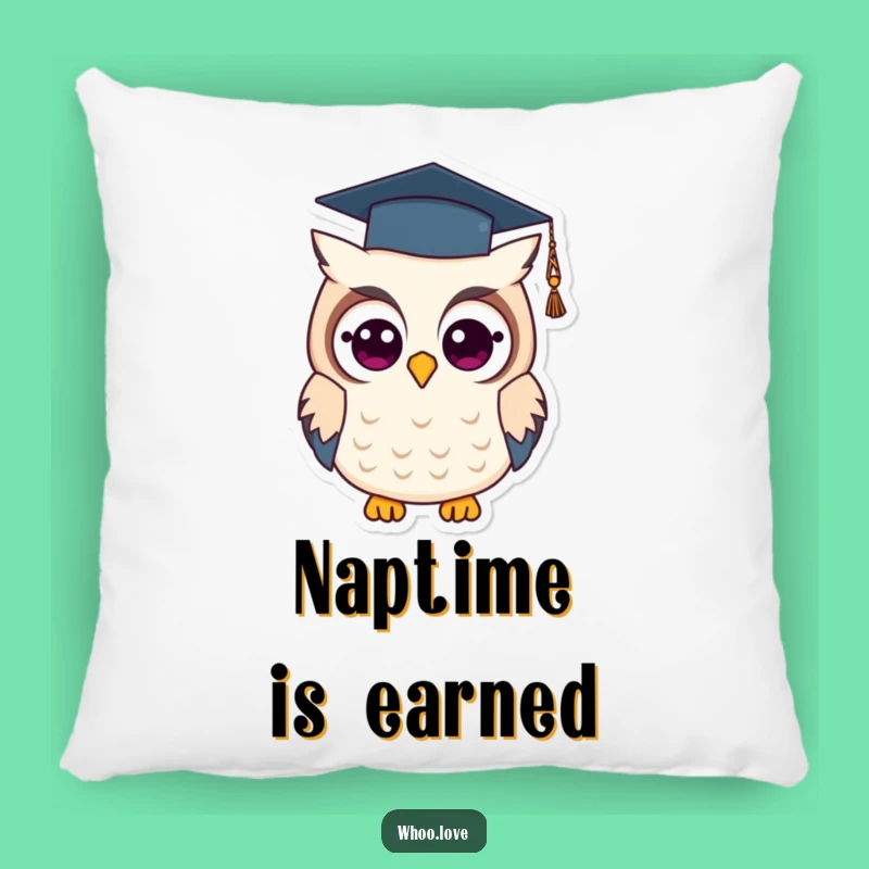 Funny Graduation Owl Pillow: Cozy Grad Owl Cushion, Hilarious Celebration Gift