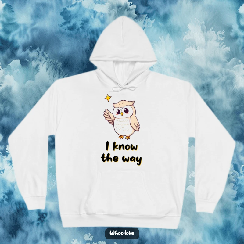 Funny owl hoodie showing an owl pointing its wing towards a shining star, embodying guidance and a sense of wonder.