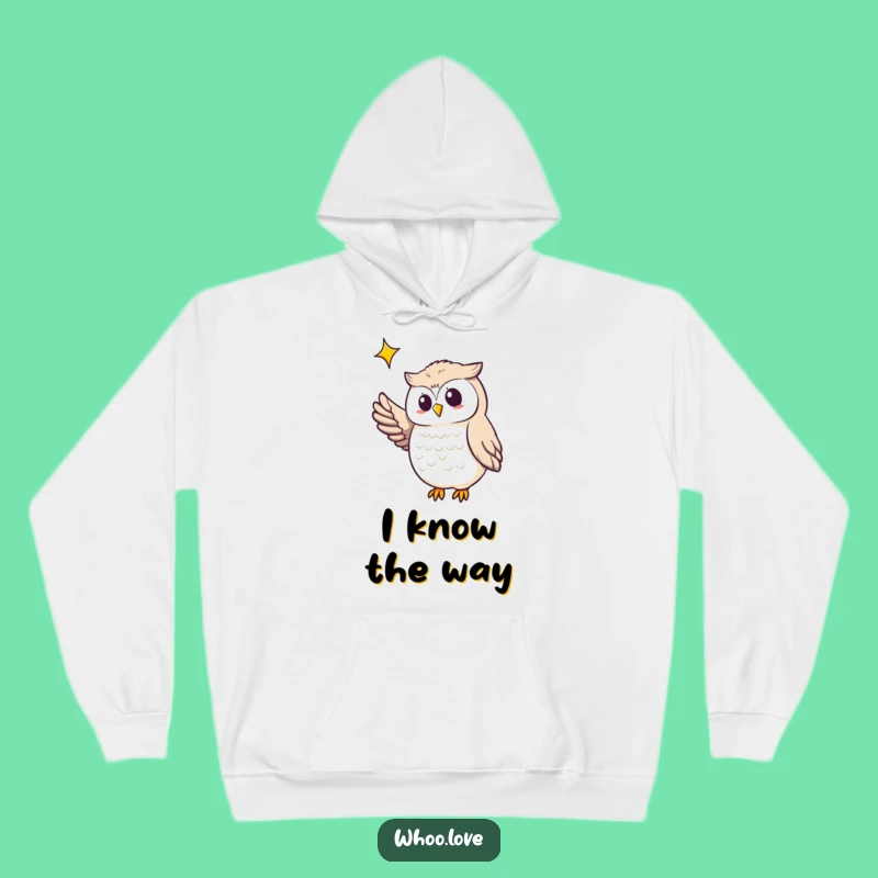 Cozy Funny Owl Guiding Star Hoodie: Snuggle Up with Celestial Inspiration